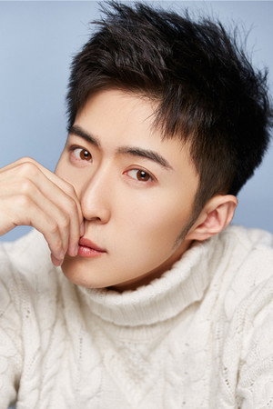 Cover image for Cui Shaohan