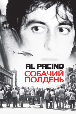 Poster for Собачий полдень