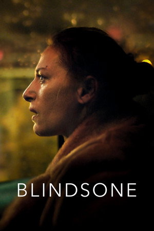 Poster for Blind Spot