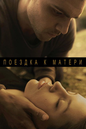 Poster for Поездка к матери