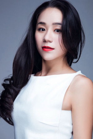 Cover image for Wang Meiying