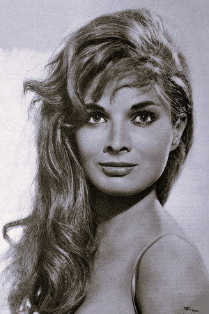 Cover image for Scilla Gabel