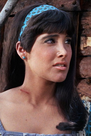 Cover image for Vicki Volante