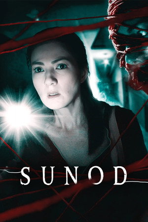 Poster for Следующий