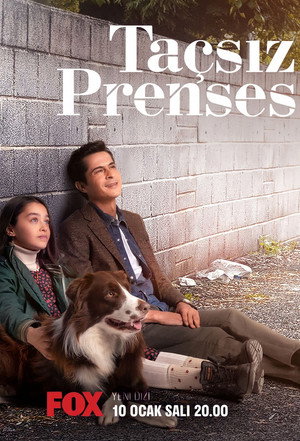 Poster for Принцесса без короны