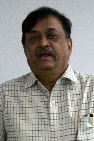 Cover image for C. V. L. Narasimha Rao