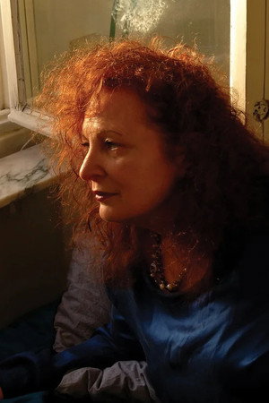 Cover image for Nan Goldin