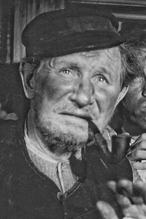 Cover image for Albin Erlandzon
