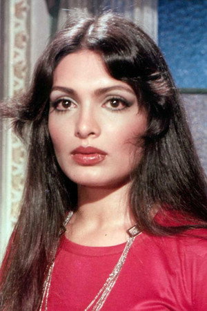 Cover image for Parveen Babi