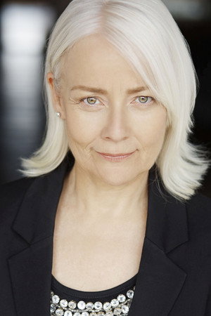 Cover image for Dawn Ford