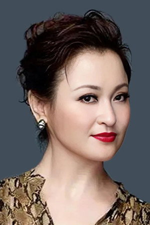 Cover image for Wang Luyao