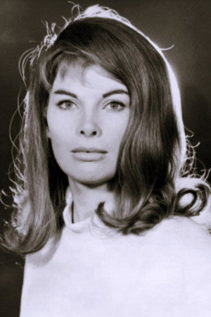 Cover image for Katherine Woodville