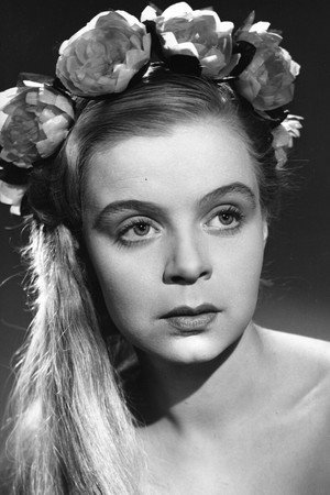 Cover image for Aino-Maija Tikkanen