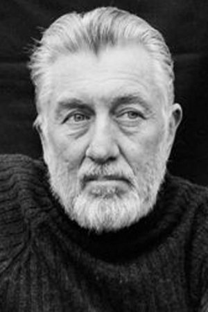 Cover image for Peter Boom