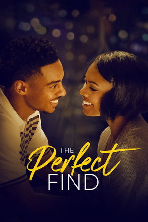 Poster for The Perfect Find
