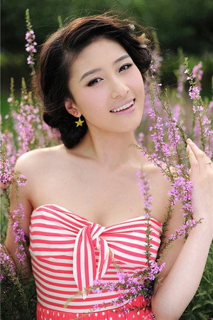 Cover image for Li Ye-Qing