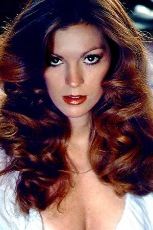 Cover image for Victoria Lynn Johnson