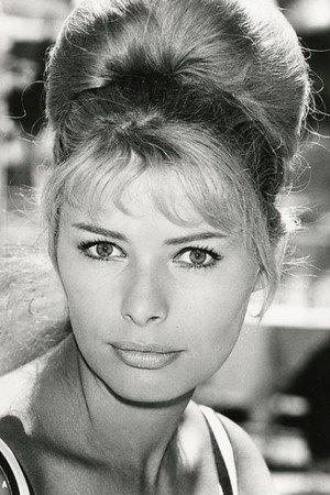 Cover image for Vivi Bach