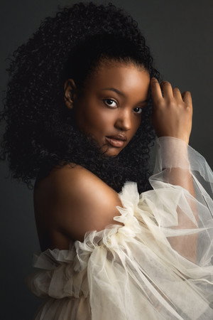 Cover image for Sierra Rose
