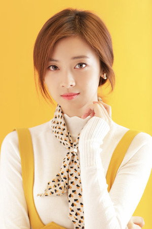 Cover image for Shao Yun