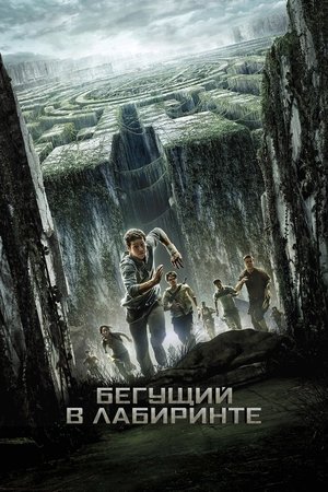Poster for The Maze Runner