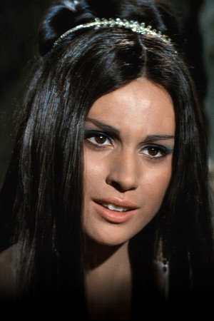 Cover image for Samia Sali
