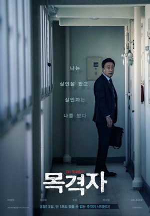 Poster for The Witness