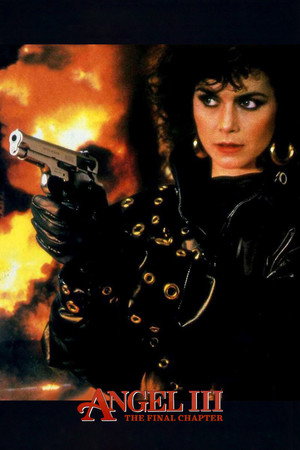 Poster for Angel III: The Final Chapter