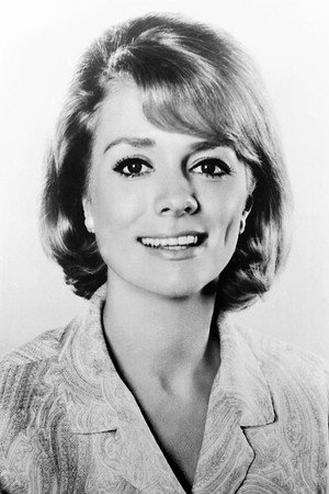 Cover image for Inger Stevens