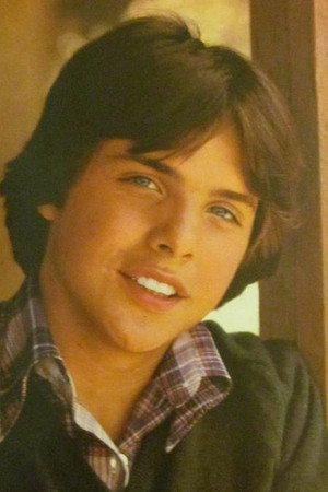 Cover image for Clark Brandon