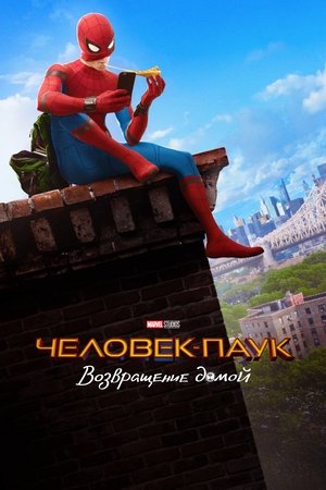 Poster for Spider-Man: Homecoming