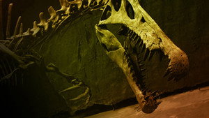 Poster for Эпизод 7