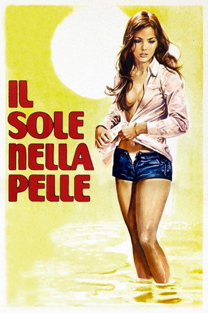 Poster for Summer Affair