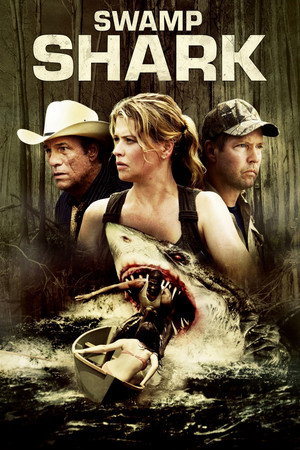 Poster for Идеальный убийца