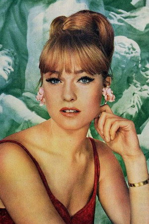 Cover image for Christa Lang