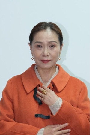 Cover image for 李红梅