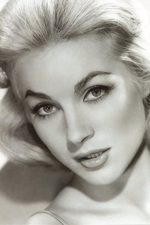 Cover image for Shirley Anne Field