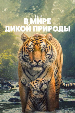 Poster for В мире дикой природы