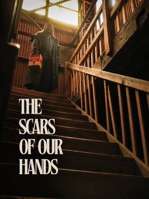 Poster for Шрамы наших рук