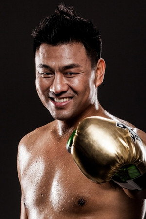 Cover image for Wang Hongxiang