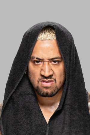 Cover image for Joseph Fatu