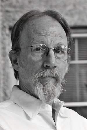 Cover image for Raynor Scheine