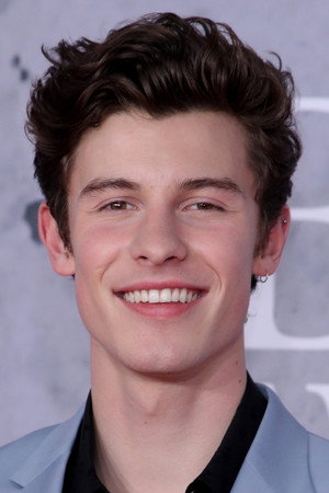 Cover image for Shawn Mendes