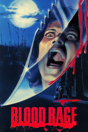 Poster for Кровная ярость
