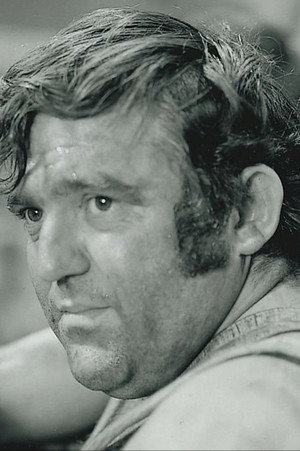 Cover image for Günter Schubert