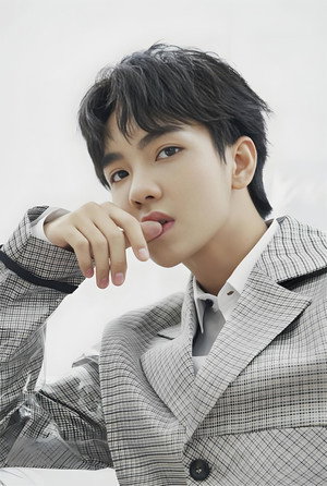Cover image for Zheng Fanxing