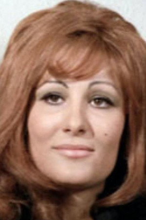 Cover image for Rossella Bergamonti