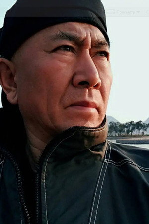 Cover image for Li Zhenqi