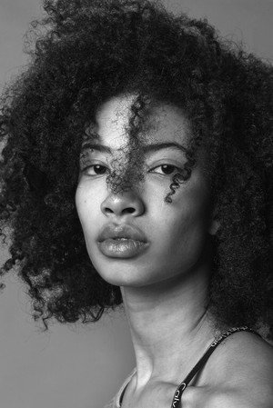 Cover image for Miranda Chambers