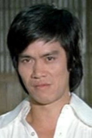 Cover image for Fu Ching Chen